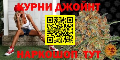 дживик Жуковский